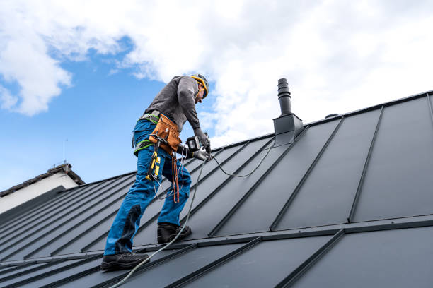 Best Roof Ventilation Installation  in Harlem Heights, FL